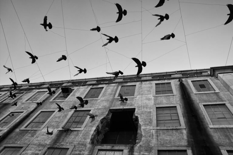 endless motion and progress